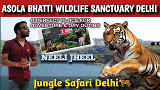 Asola Bhatti Wildlife Sanctuary  Neeli Jheel Faridabad  Hidden Gems In Delhi Ncr  Weekend Gateway [upl. by Merrie]