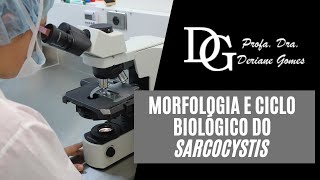 036 Morfologia e Ciclo Biológico do Sarcocystis [upl. by Hullda]