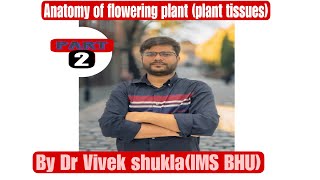 Anatomy of flowering plants Parenchymacollenchymasclerenchyma by Dr Vivek Shukla IMS BHU [upl. by Nalyr]