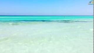 Yati Beach Djerba Island Tunisia  شاطئ ياتي جزيرة جربة تونس [upl. by Amasa634]