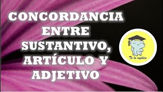 CONCORDANCIA ENTRE SUSTANTIVO ARTÍCULO Y ADJETIVO [upl. by Sioled]