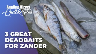 3 Great Deadbaits For Zander  Predator Fishing Quickbite [upl. by Anayra]