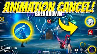 COMPLETE animation cancel GUIDE and Break Down DETAILED [upl. by Edrock]