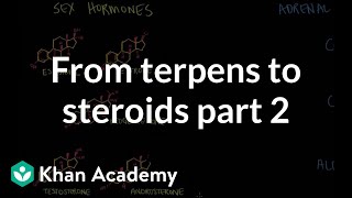 From terpenes to steroids part 2 Squalene cholesterol and steroids  NCLEXRN  Khan Academy [upl. by Jammie]