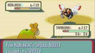 Pokemon Sapphire Walkthrough Part 23 Route 113  Fallarbor Town [upl. by Halas]