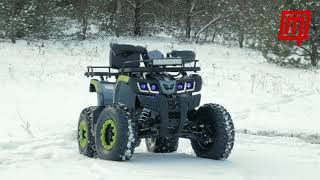 Offroad ATV TaoMotor Warrior 200cc [upl. by Ender]