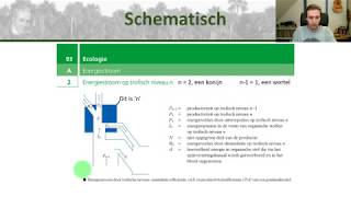 Bio bovenbouw  Energiestromen in ecosystemen en de piramide van biomassa  Ecologie 3 [upl. by Daphie]