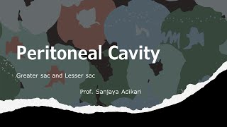 Peritoneal Cavity [upl. by Riplex888]