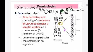 41 a Genetic Inheritance Terminologies in genetic inheritance [upl. by Tucker221]