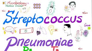 Streptococcus pneumoniae  Diagnosis amp Treatment  Microbiology 🧫 amp Infectious Diseases 🦠 [upl. by Avahc]