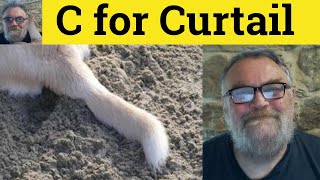 🔵 C is for Curtail  Curtail Meaning  Curtail Examples  Curtail in a Sentence  501 Synonyms [upl. by Rubie]