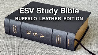 ESV Study Bible  Full Review Buffalo Leather Edition [upl. by Aehtla]