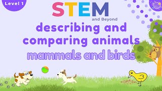 Comparing Animals Mammals and Birds  KS1 Year 1 STEM Summer Camp [upl. by Jesh345]