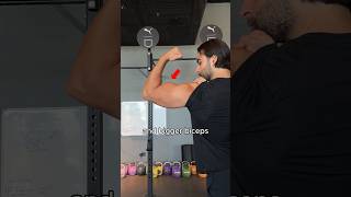 Explosive Bicep Growth 🧨 Ultimate Guide 📝💪 [upl. by Mahala]