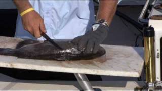 The BEST Way to Fillet Catfish [upl. by Beatrix219]