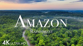 Amazon in 4K  The World’s Largest Tropical Rainforest  Aerial Drone  Scenic Relaxation Film [upl. by Yleek]