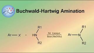 BuchwaldHartwig Amination Mechanism  Organic Chemistry [upl. by Piero]