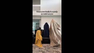 Robitussin Chris Brown TikTok Blanket Challenge Song Under The Influence [upl. by Annoj]