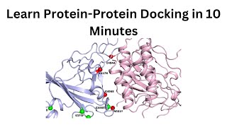 How to perform proteinprotein docking on your local protein models [upl. by Lomasi]