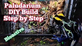 How To Build A Paludarium DIY In Depth Tutorial paludarium bioactive [upl. by Dlorej]