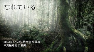 忘れている【2023年7月22日 耕月寺 座禅会】甲賀祐慈老師 提唱 [upl. by Annoyk]