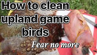 How to clean a upland game birds [upl. by Htebzil]