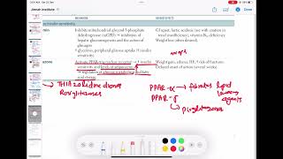 pioglitazone pharmacology endocrinology 87  First Aid USMLE Step 1 in UrduHindi [upl. by Dlanod]