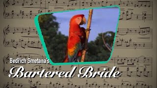 Music Recomposition  Bedřich Smetana‘s The Bartered Bride Polka [upl. by Korella]