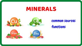 Minerals 16 Types Functions and Sources [upl. by Dotson]