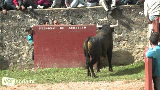 Desencajonamiento 2011 Soria [upl. by Spieler]