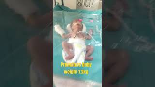 Premature baby newbornbaby nicu God bless you bcha [upl. by Gyasi307]