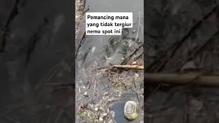 Saat melintastidak sengaja merekam aktfitas ikan yang begitu besar [upl. by Calista896]