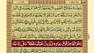 QuranPara0730Urdu Translation [upl. by Allissa]