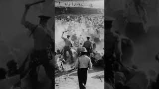 1960  Sharpeville Massacre South Africa historyeducation learning history [upl. by Onifled862]