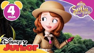 Sofia the First  Royal Vacation  Disney Junior UK [upl. by Damek760]