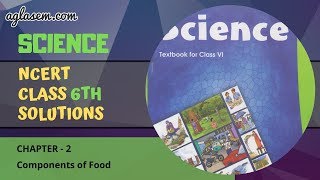 Class 6 Science Chapter 2 Components of food  Components of food  LearnFatafat [upl. by Leoline]