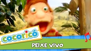 Videoclipe  Peixe Vivo [upl. by Oel734]