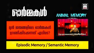 പൂർവ്വജന്മ സ്മരണകൾ സത്യമോ l പുനർജനിച്ചെത്തുന്ന ഓർമ്മകൾ l Episodic and Semantic Memory l [upl. by Bozovich]