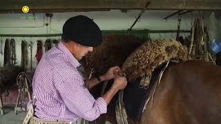 Uruguay por dentro  Tareas camperas  Ensillado del caballo [upl. by Evyn]