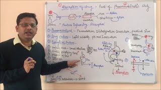 Pharmacokinetic Part 01 Absorption of Drugs  Factors Affecting Drug Absorption  Pharmacokinetics [upl. by Ridglee112]