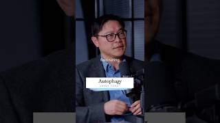 Autophagy  Jason Fung [upl. by Pasquale]