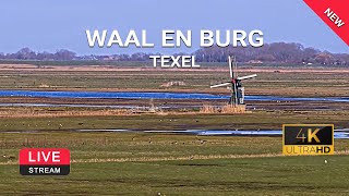 Waalenburg Texel  webcam live 4K  TexelinformatieNL [upl. by Bullivant666]