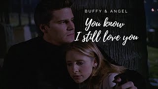 Buffy amp Angel  Drivers License [upl. by Enneillij]