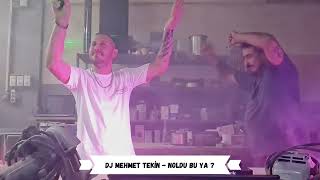 Dj Mehmet Tekin  Noldu Bu Ya   Official Video [upl. by Rosalba]