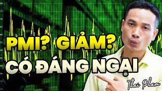 PMI LÀ GÌ PMI GIẢM 2 THÁNG LIÊN TIẾP LIỆU CÓ ĐÁNG NGẠI [upl. by Elinore]