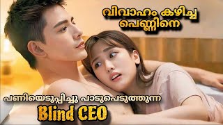 Romance with blind master 2023 Chineese drama Malayalam Explanation MOVIEMANIA25 [upl. by Chu]