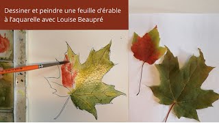 Dessiner et peindre une feuille dérable à laquarelle avec Louise Beaupré [upl. by Kacey]