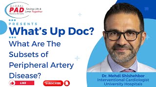 The Different Levels of Peripheral Artery Disease I Dr Mehdi Shishehbor [upl. by Ardnuek]