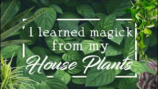 I learned magick from my house plant [upl. by Rovelli]