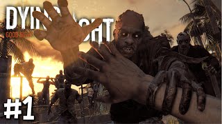 Dying Light The Following DLC  Both Ending Choices [upl. by Kolva]